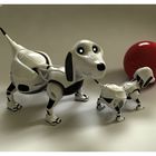 RoboDogs