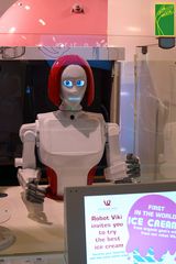 Robot Viki