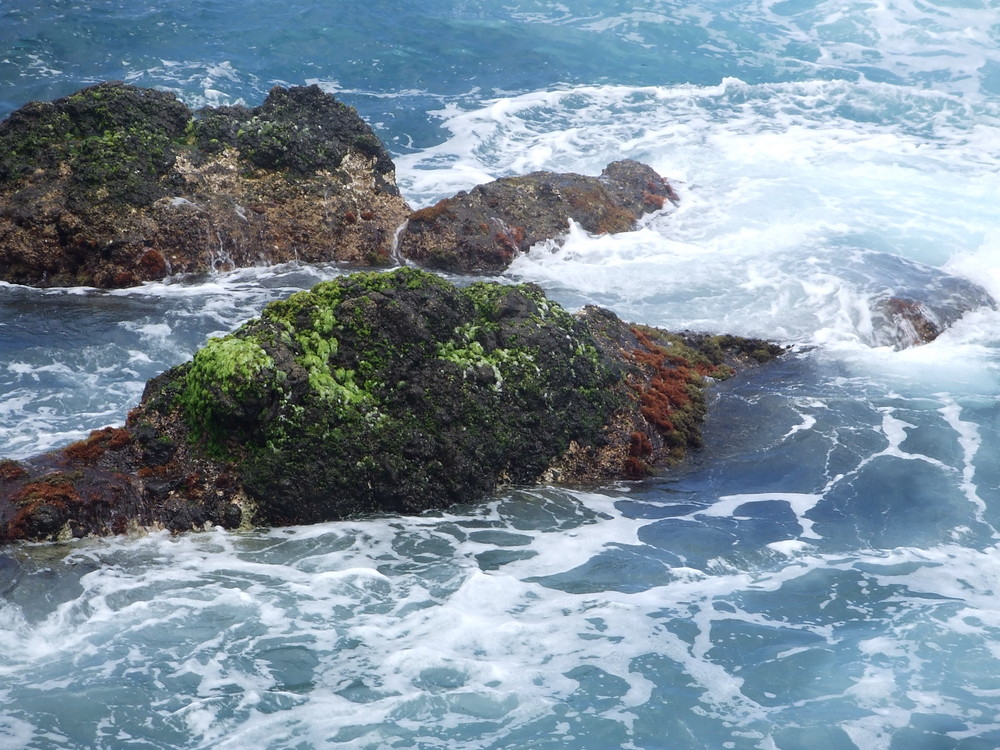 roca cubierta de verde