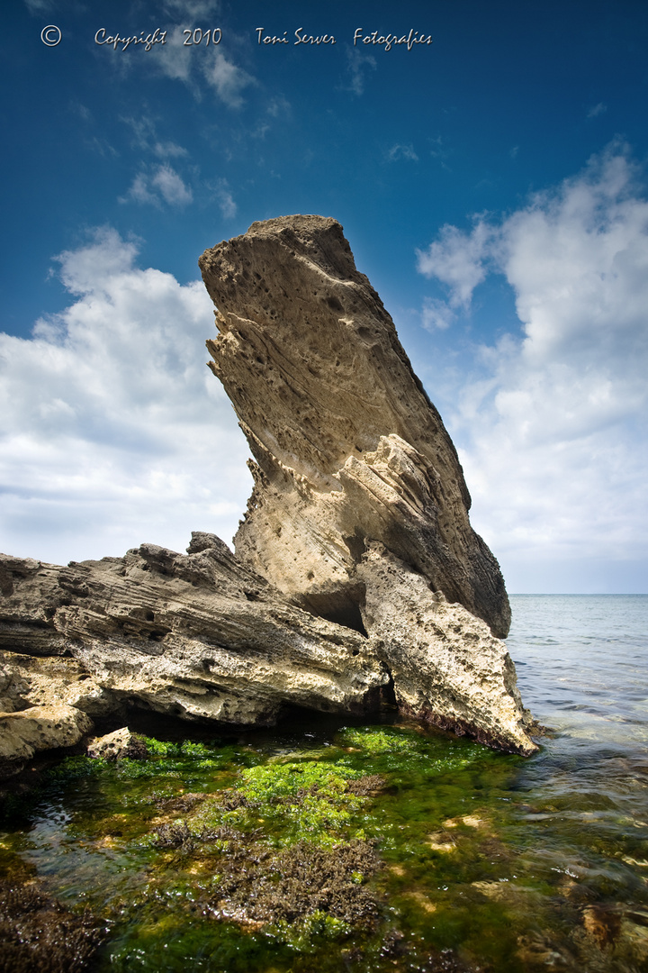 Roca de Sa Colònia