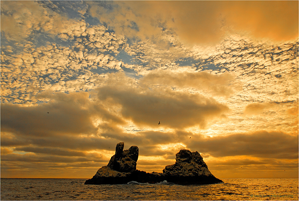 Roca Partida