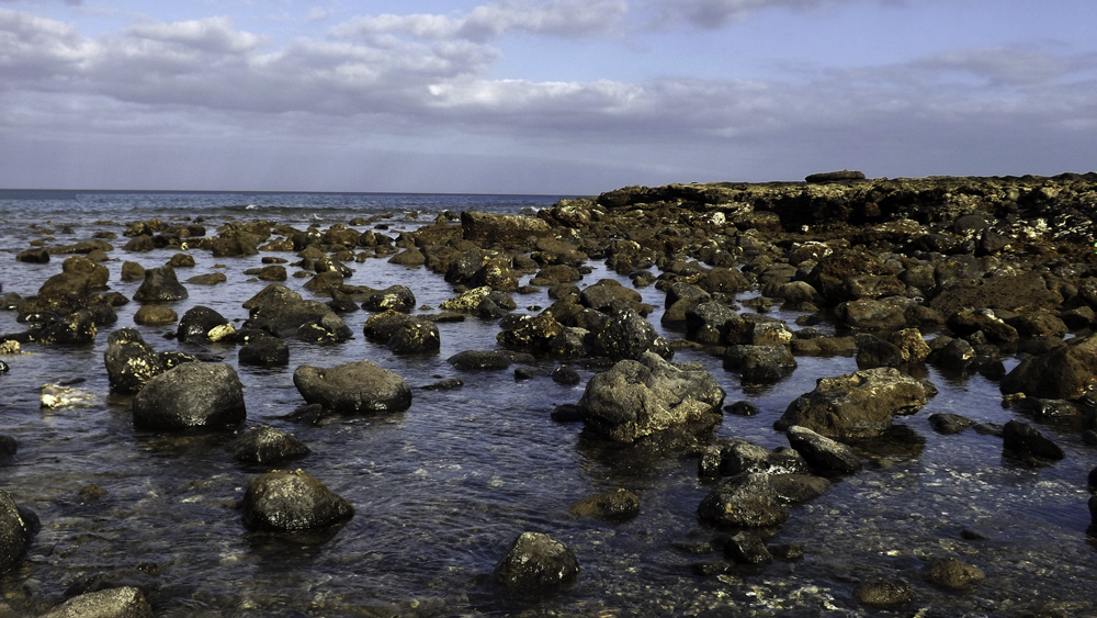 Roca y mar