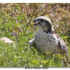 Rocamadour-3