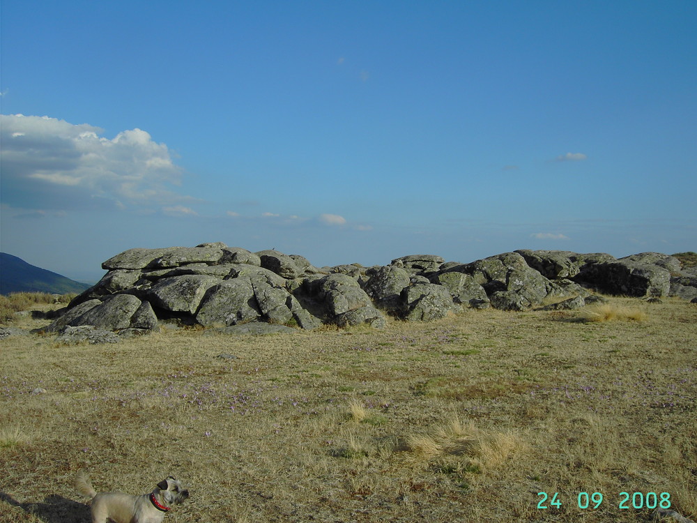 ROCAS