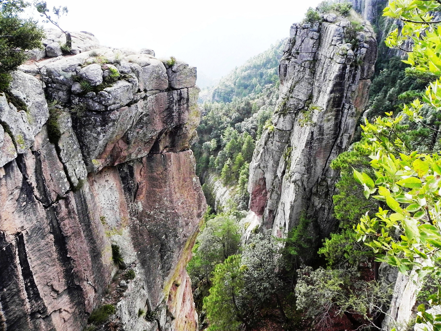 rocas del cañon