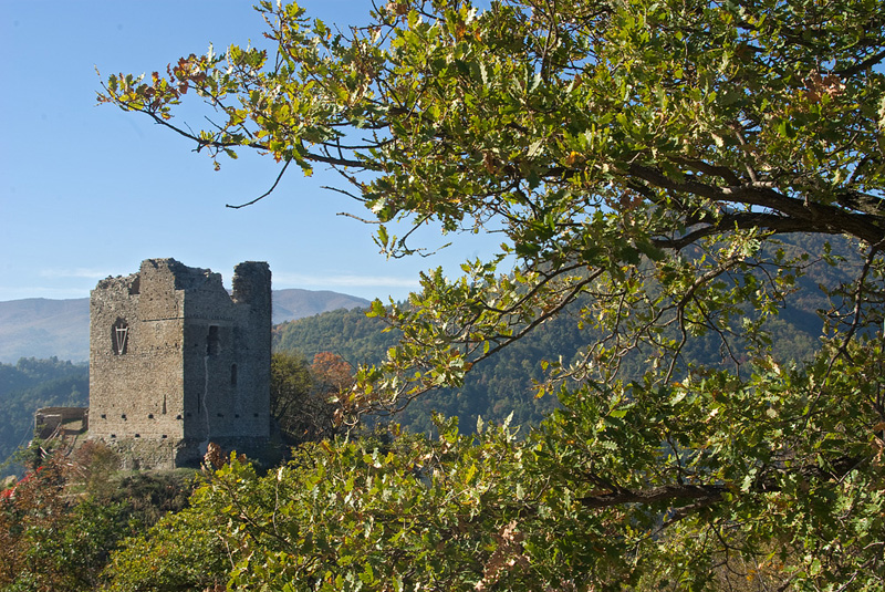 Rocca Cerbaia