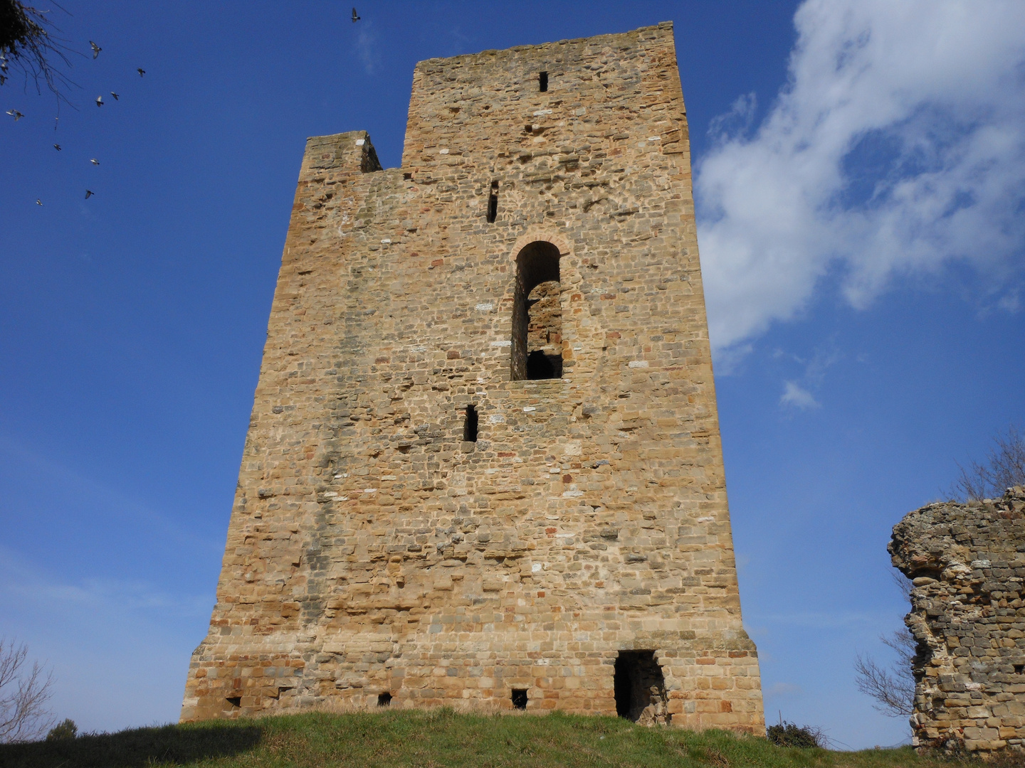 Rocca di Isola - San Severino Marche (MC)