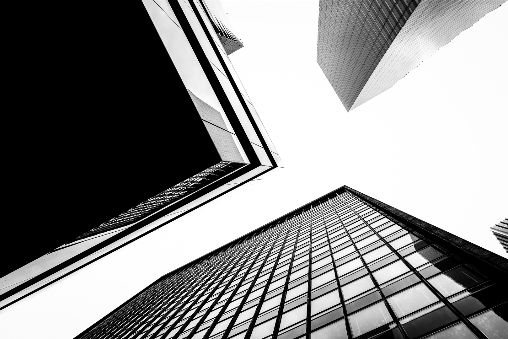 Roche Towers