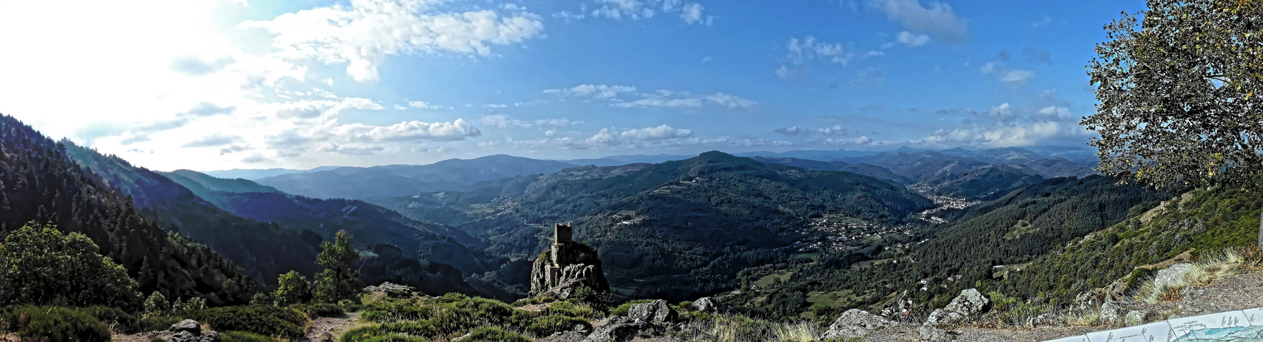 roche_bonne2018_fz200_