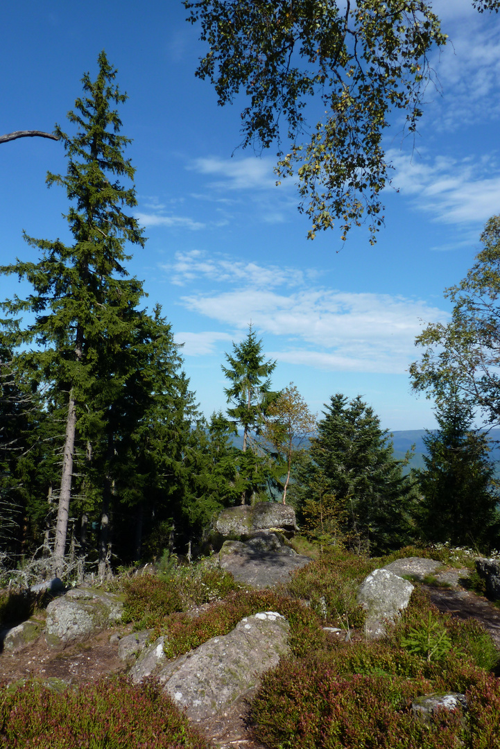 Rocher de Reinoldstein