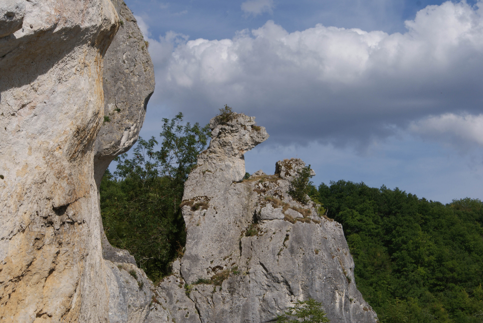 Rocher du Sausois2