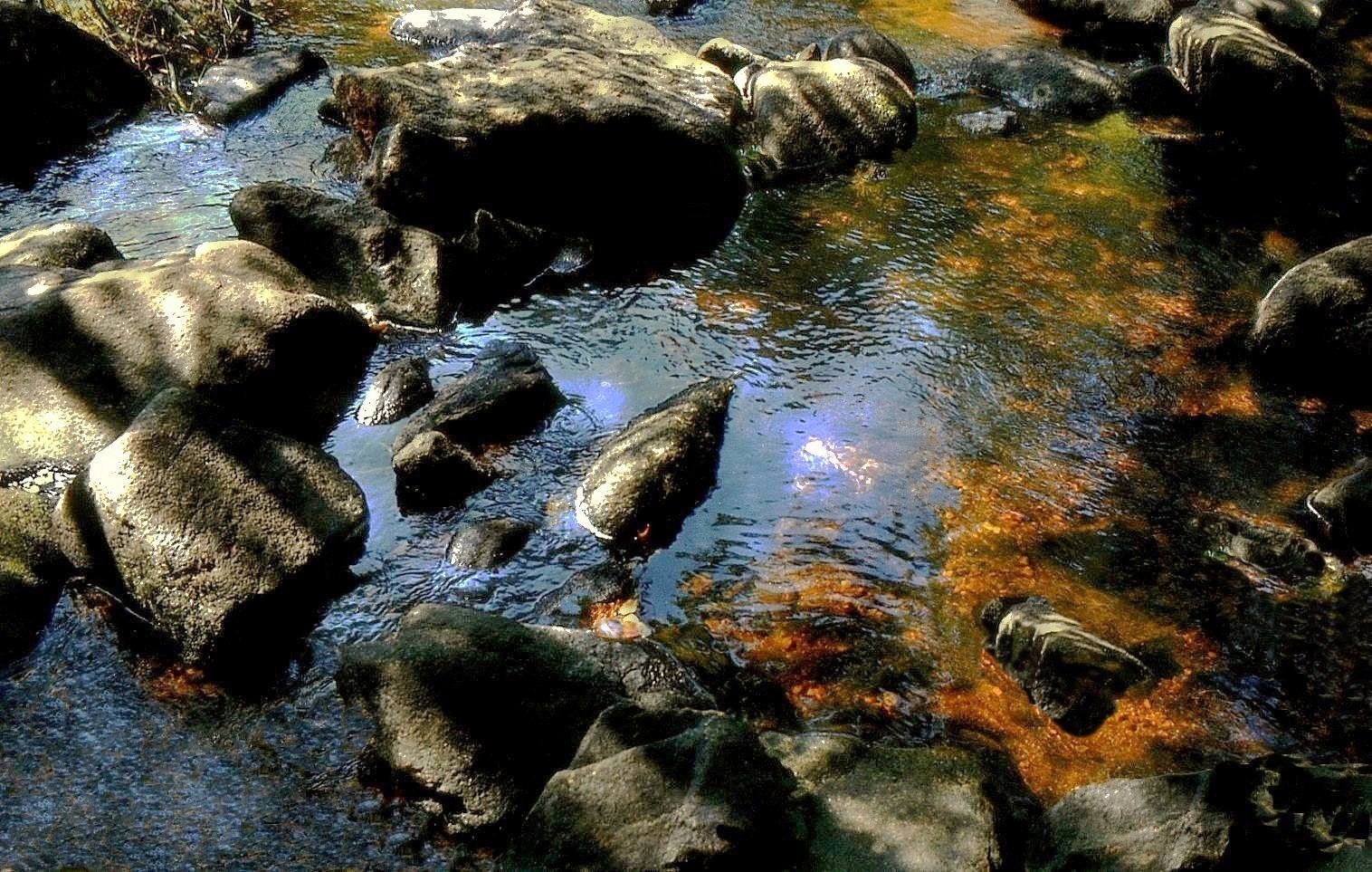 Rochers dans l'eau de la rivière