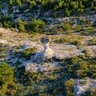 Rochers des Mourres bei Forcalquier 2