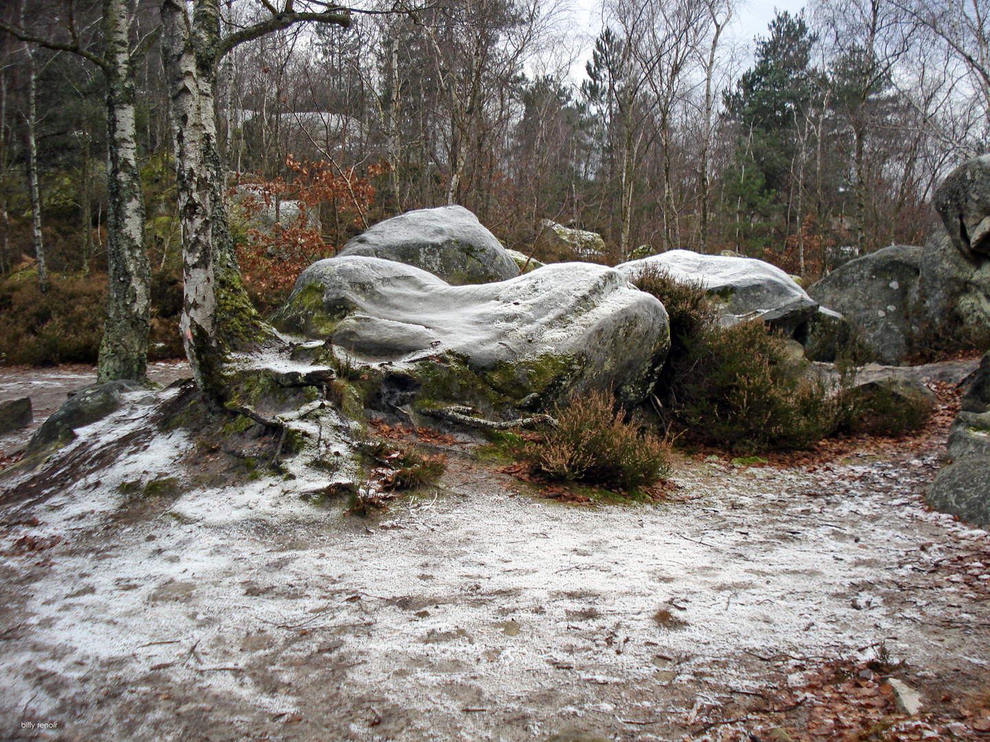 rochers en forêt ©