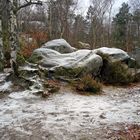 rochers en forêt ©