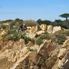 Rochers ensoleillés.