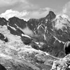 Rochers , glaciers et bouquetin