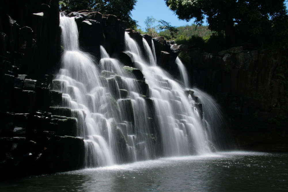 Rochester Fall - Mauritius