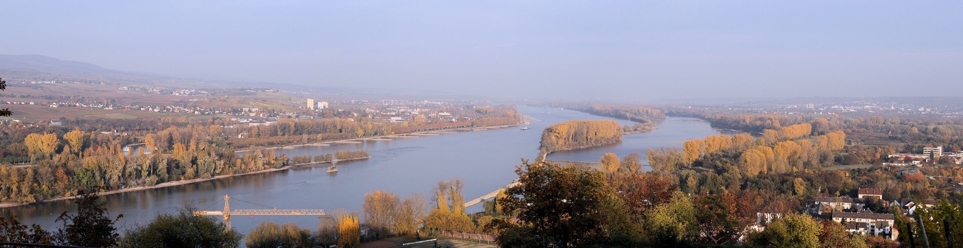 Rochusberg in Richtung Mainz