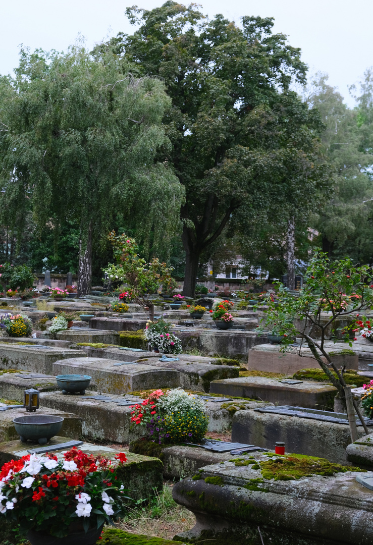 Rochusfriedhof 2