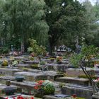 Rochusfriedhof 2