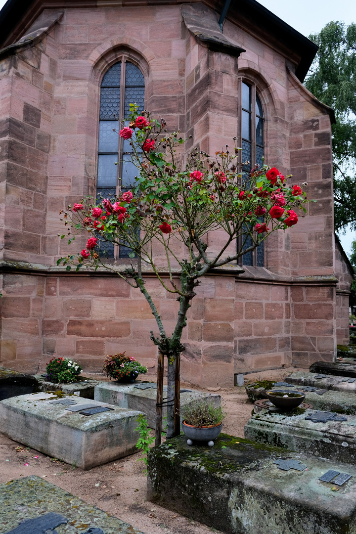 Rochusfriedhof 