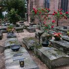 Rochusfriedhof 6