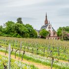 Rochuskapelle-Bethlehemskapelle 7