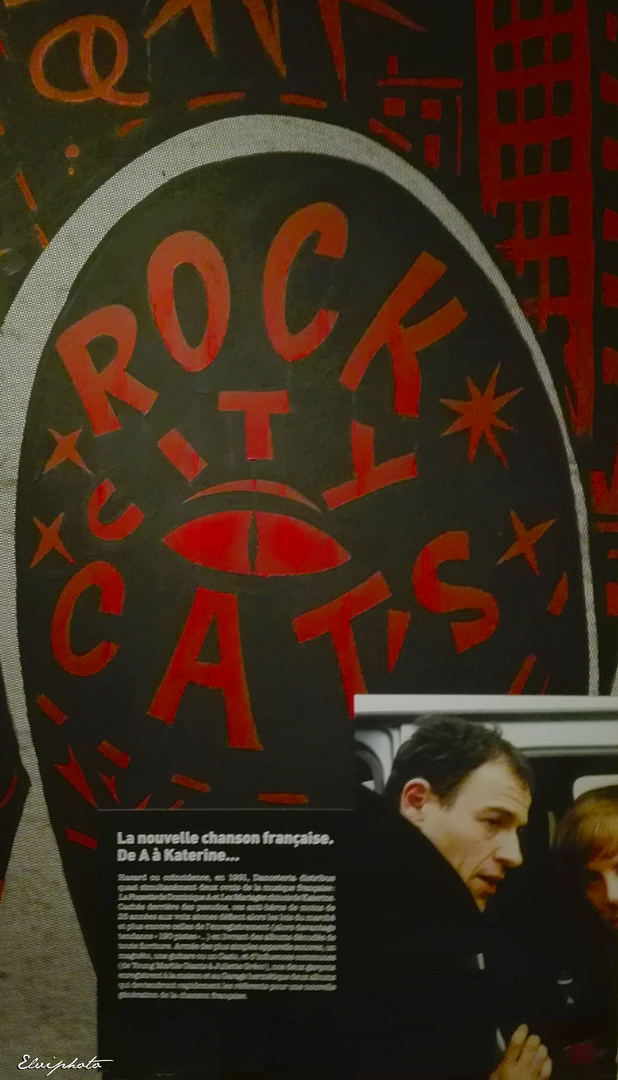 Rock Cats 