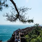 Rock disk pathway for tourists