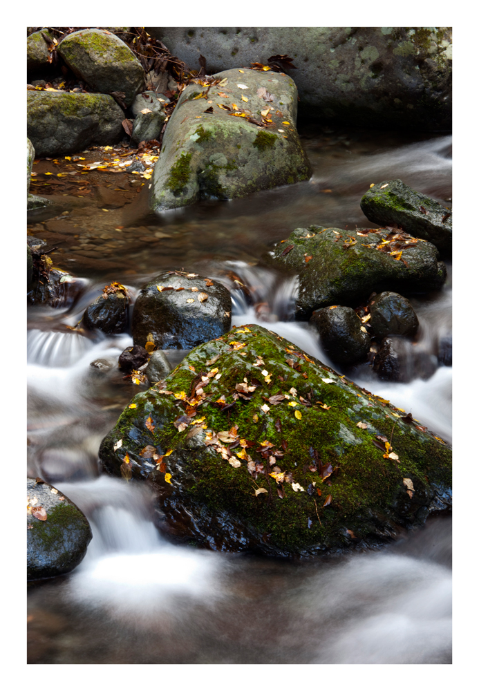 Rock in river