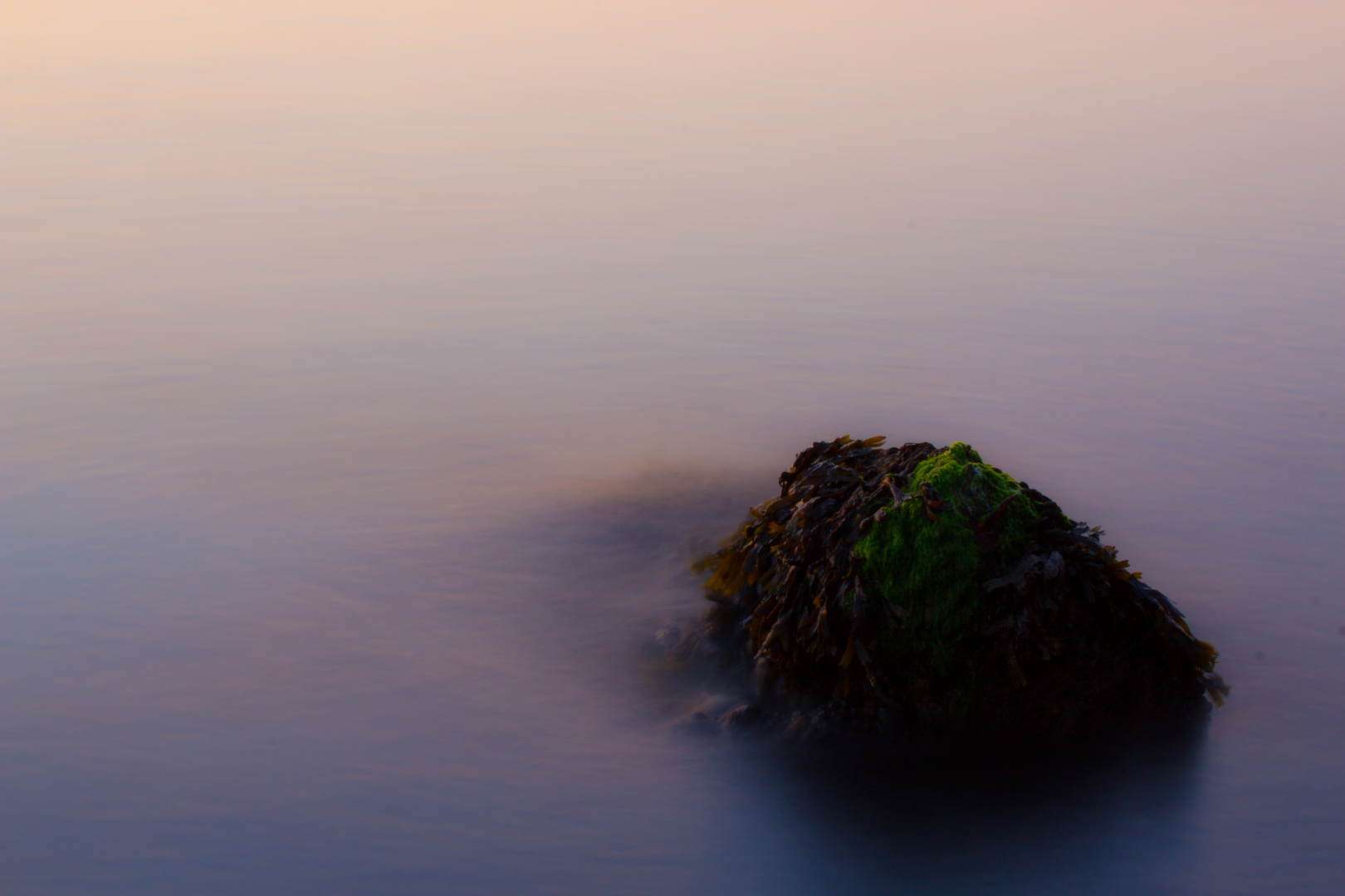 Rock In The Surf