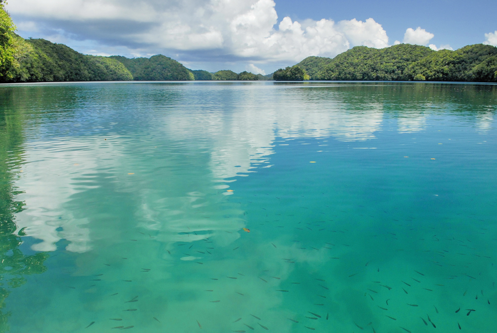 Rock Island; Palau; Mikronesien;Schwimmende Gärten;Meer;