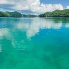 Rock Island; Palau; Mikronesien;Schwimmende Gärten;Meer;