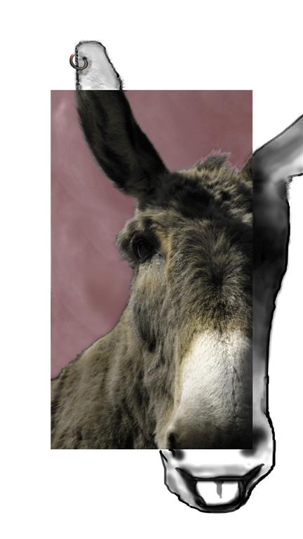 Rock 'n Roll Donkey