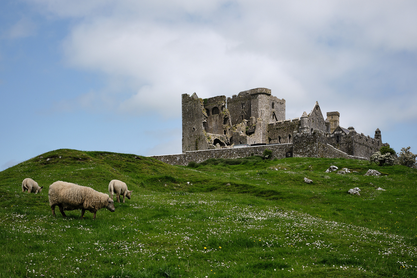 Rock of Cashel