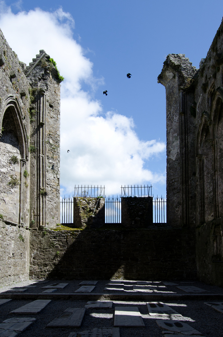 ... Rock of Cashel III ...