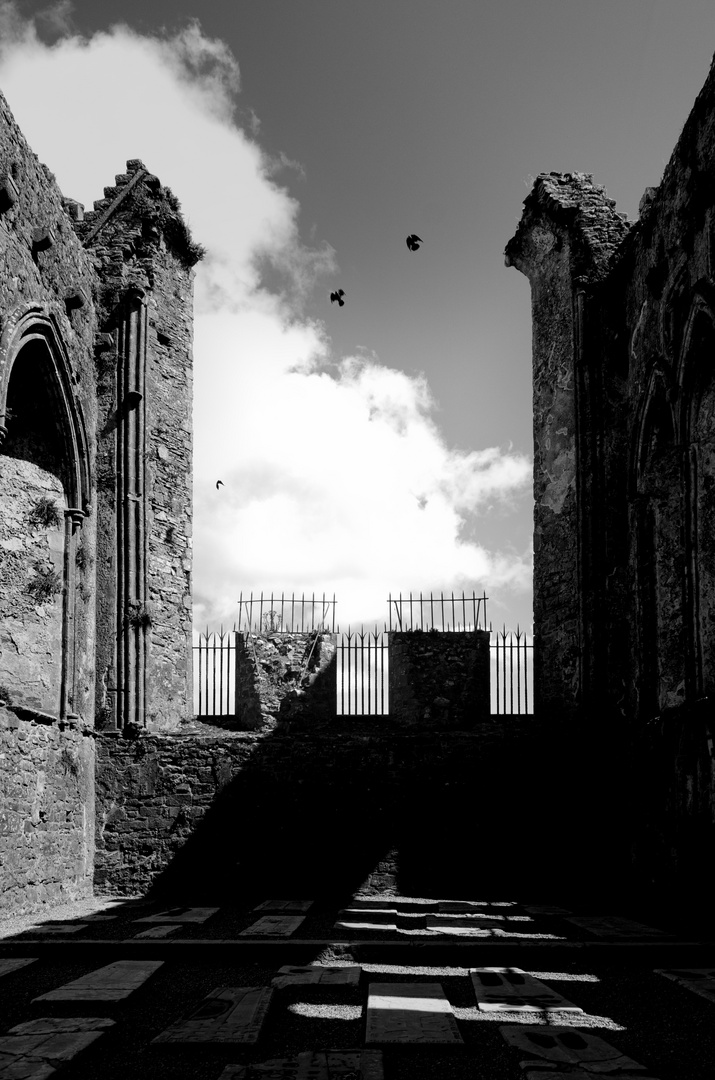 ... Rock of Cashel III s/w ...