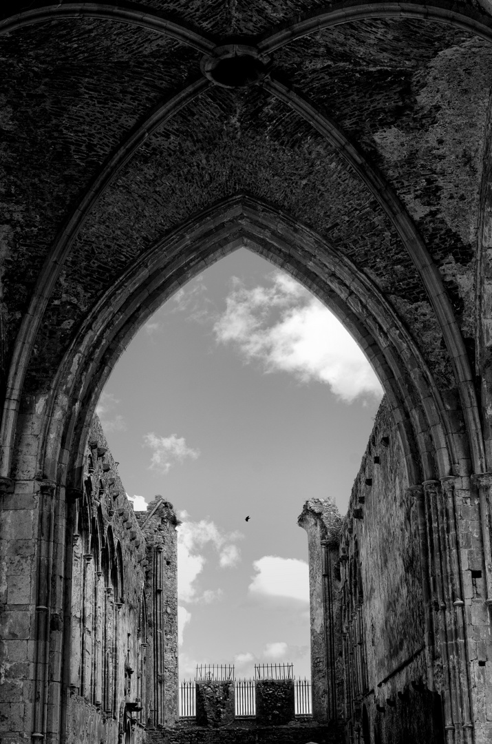 ... Rock of Cashel VIII s/w ...