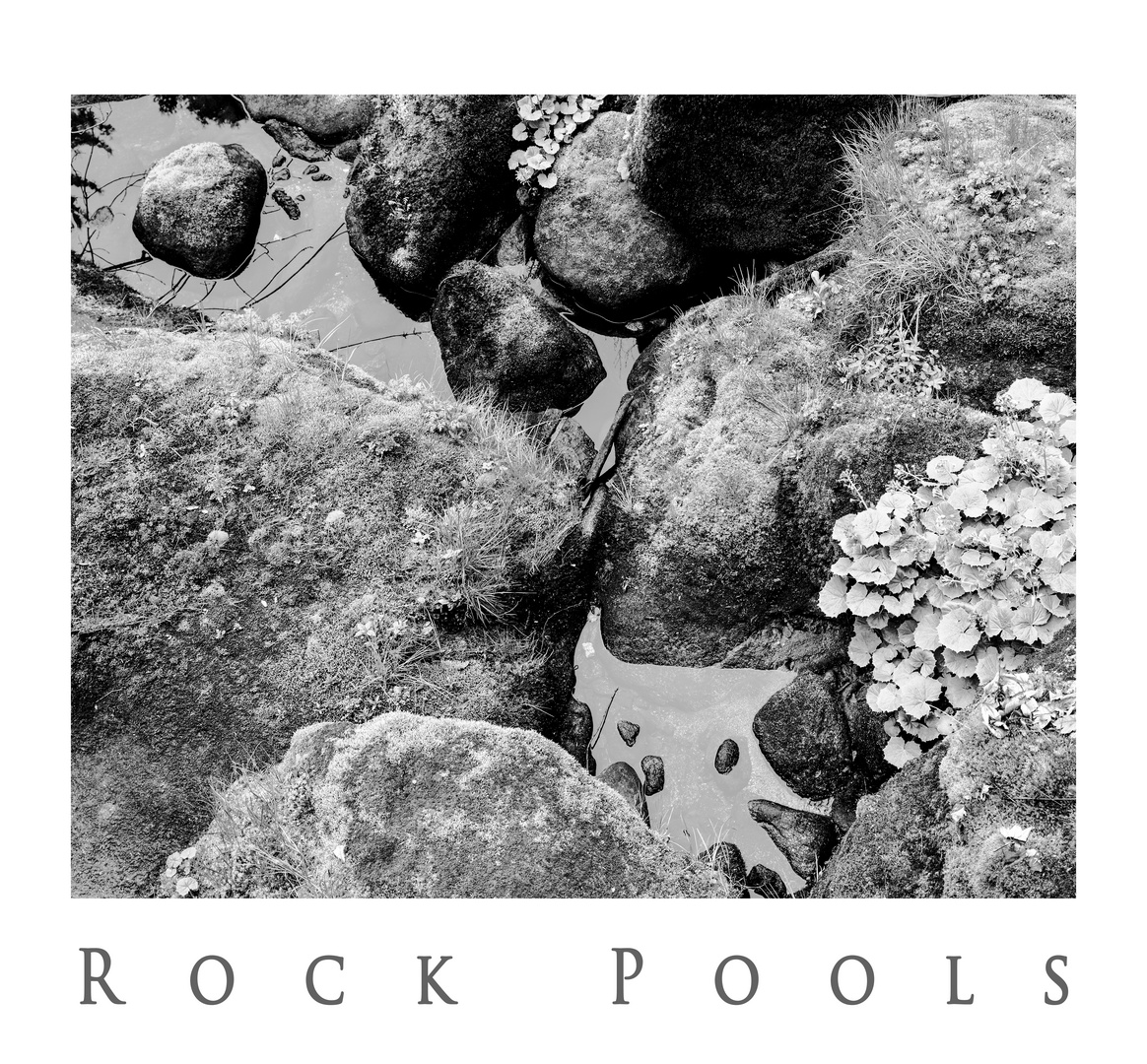 Rock Pools