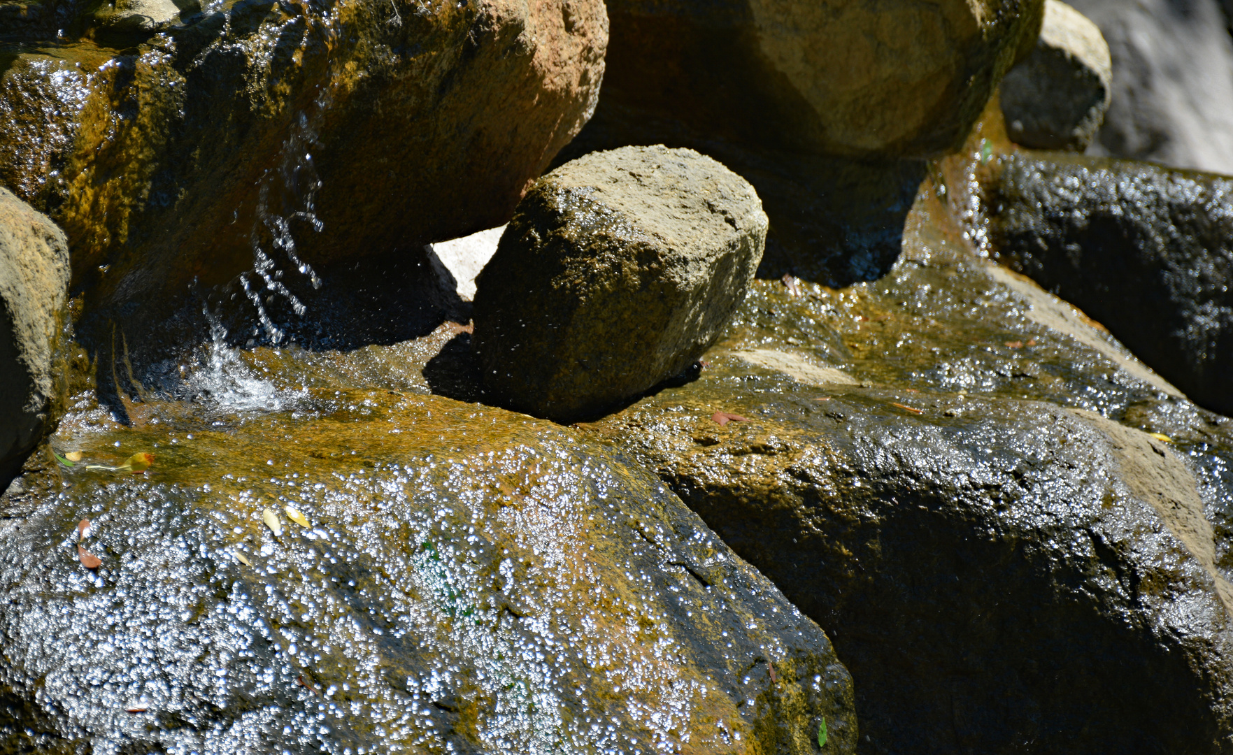 Rock saved from water