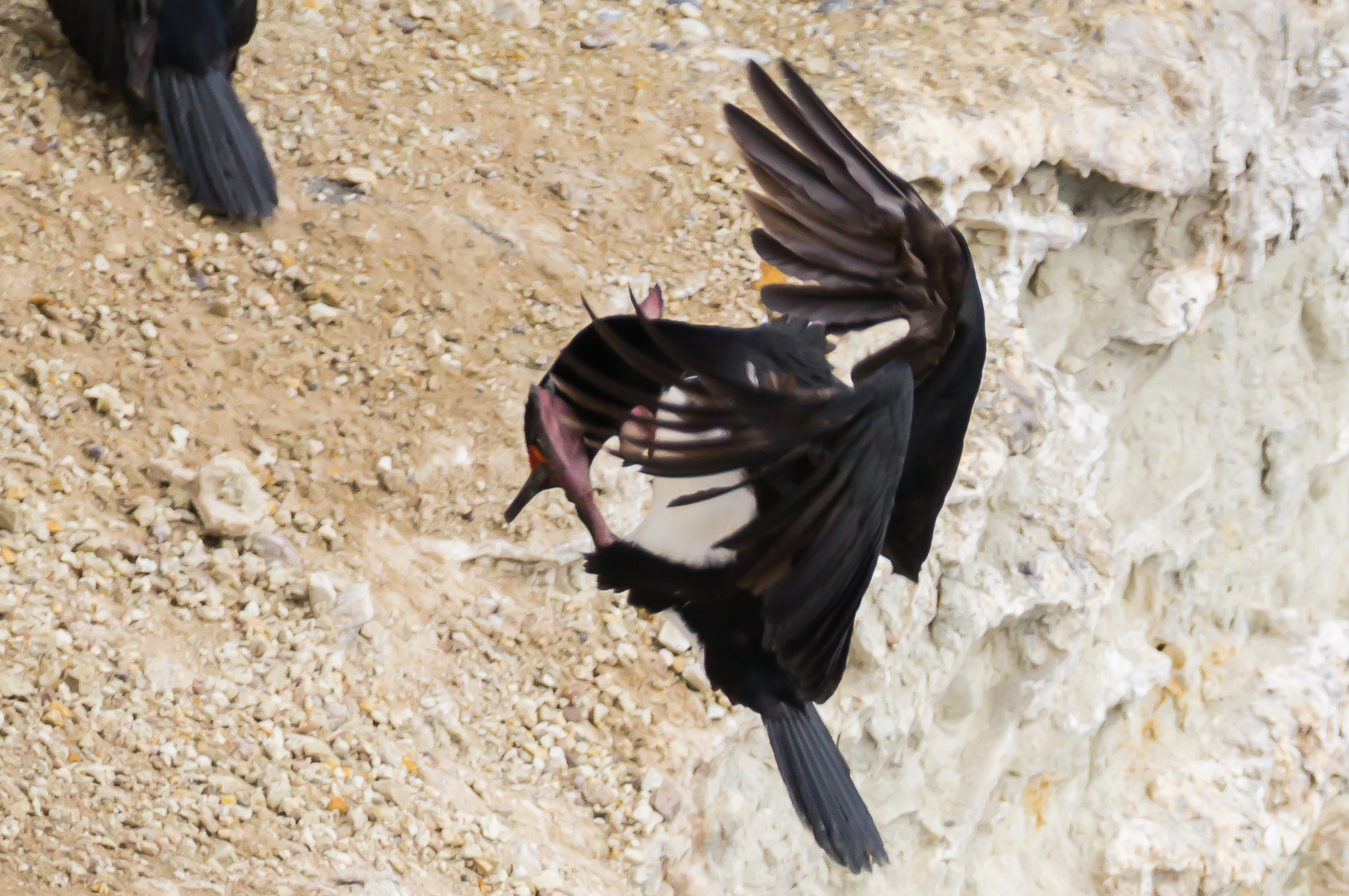 Rock shag yoga