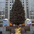 Rockefeller Center Christmas Tree 2007