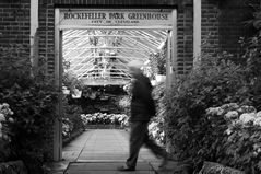 Rockefeller Park Greenhouse