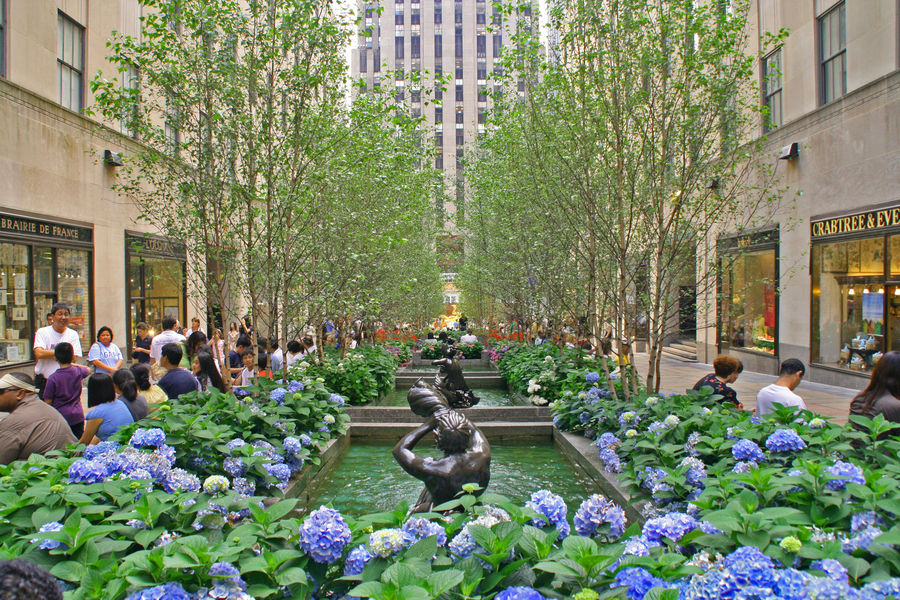 Rockefeller Plaza