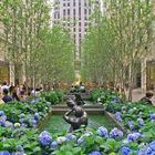 Rockefeller Plaza