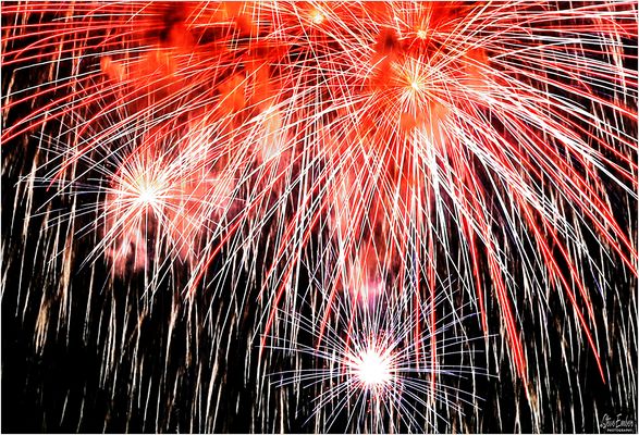 Rocket Blossoms - July 4th Fireworks Souvenir