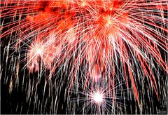 Rocket Blossoms - July 4th Fireworks Souvenir