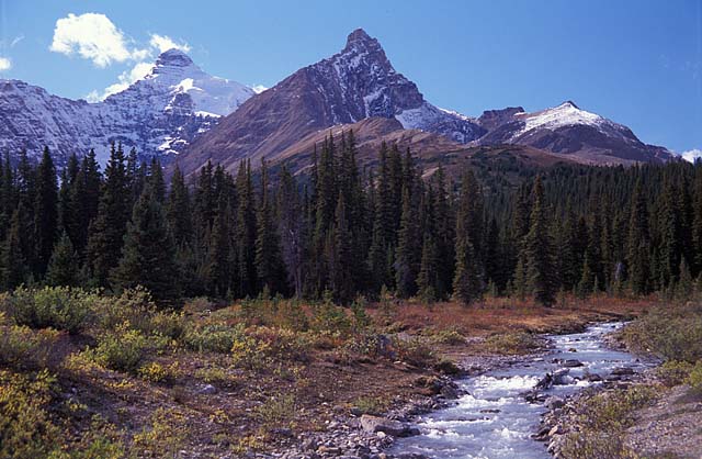 Rockies