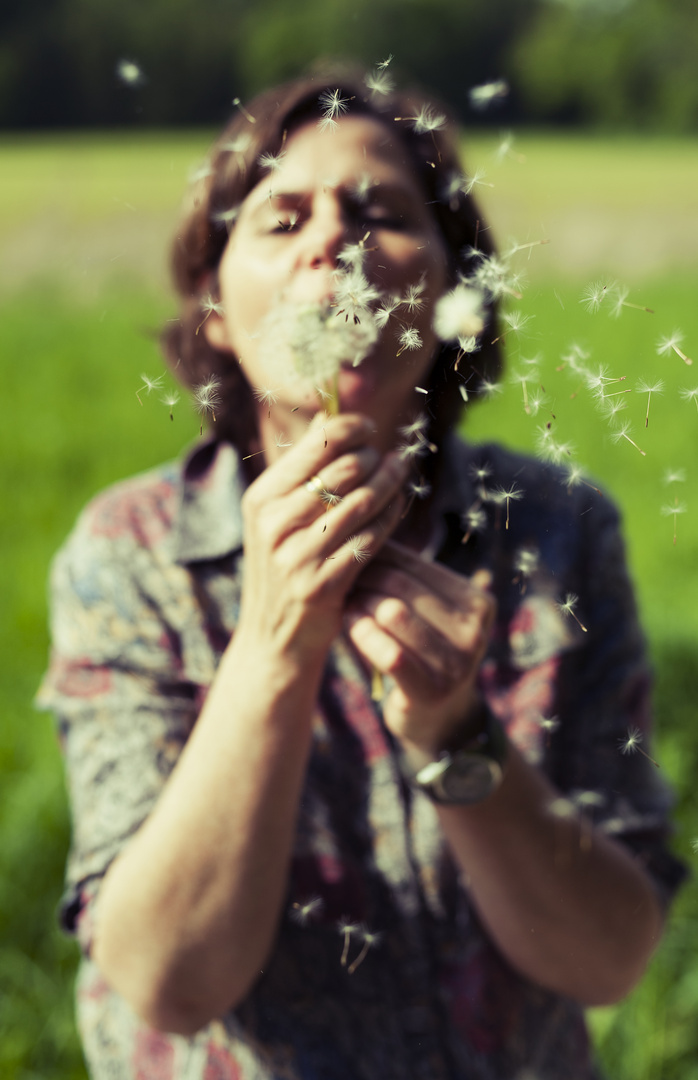 Rockin' the dandelion